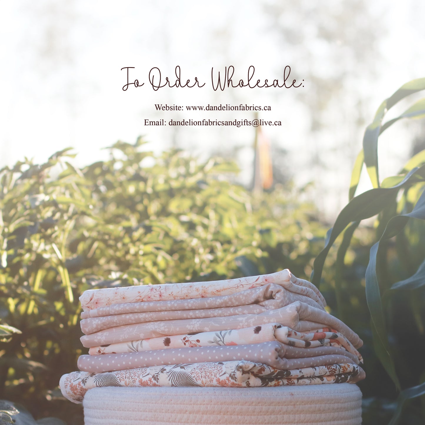 For Viewing Only | Autumn 2024 Look Book