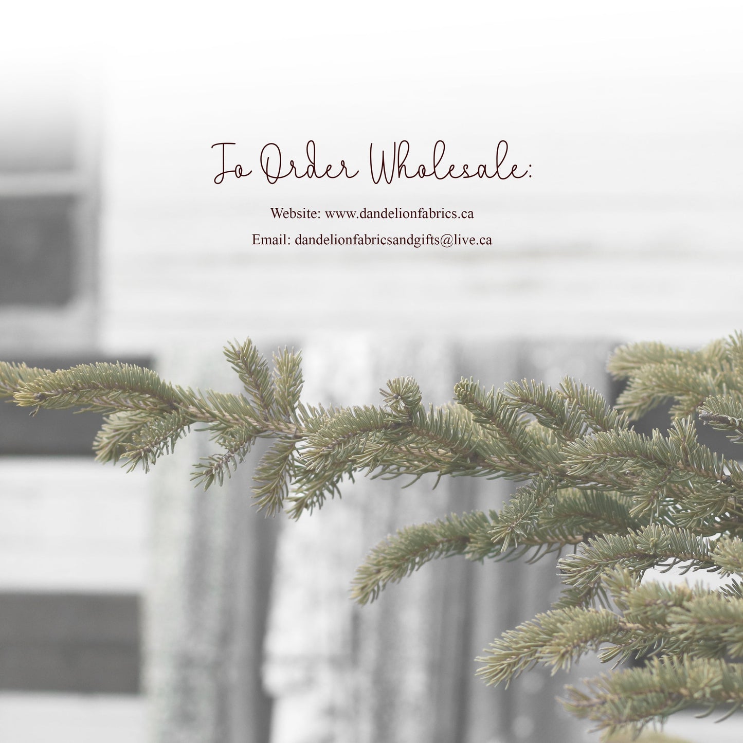 For Viewing Only | Winter 2023 Look Book