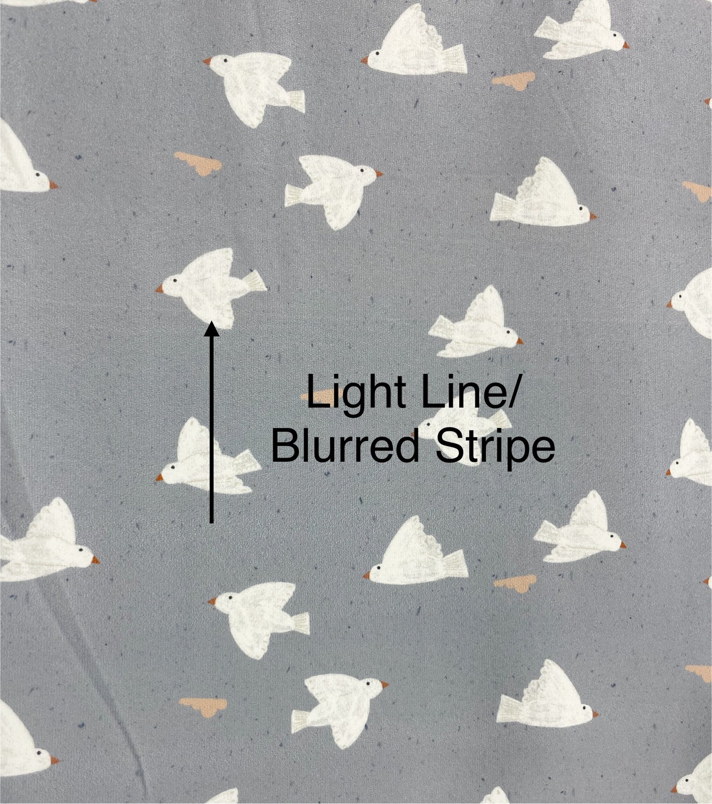 Flaw Notice Below | Southern Birds | Eureka Jersey Knit Fabric