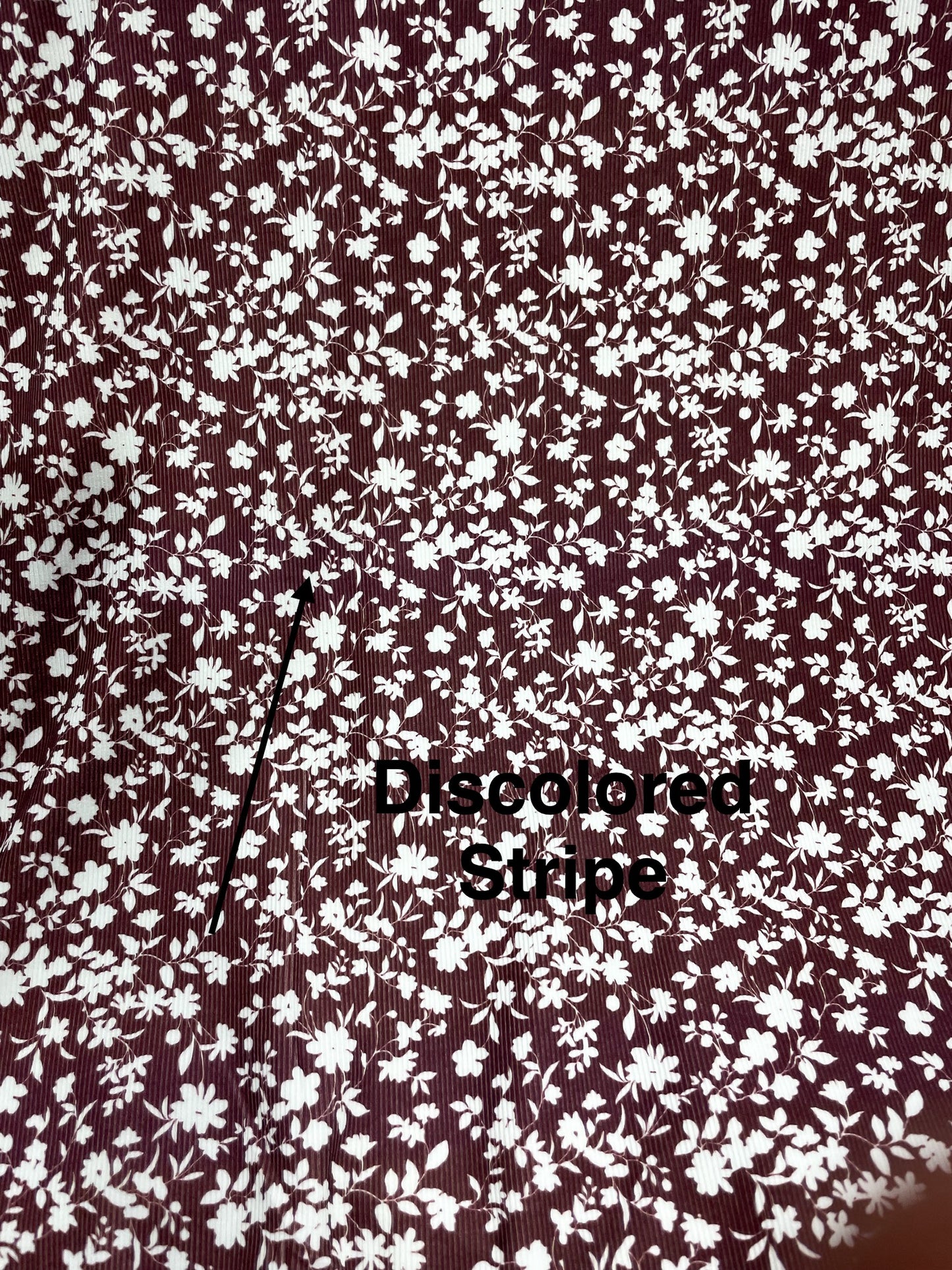 Flaw Notice Below | Mila Floral in Red | Jasper Rib Knit Fabric