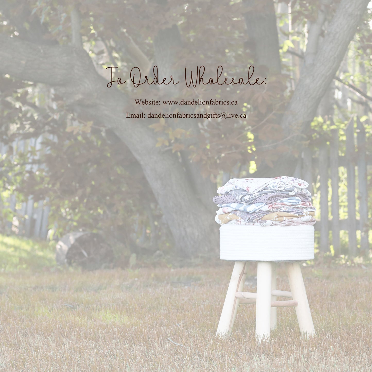 For Viewing Only | Autumn 2022 Look Book