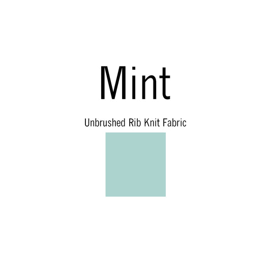 Mint Solid | Unbrushed Rib Knit Fabric